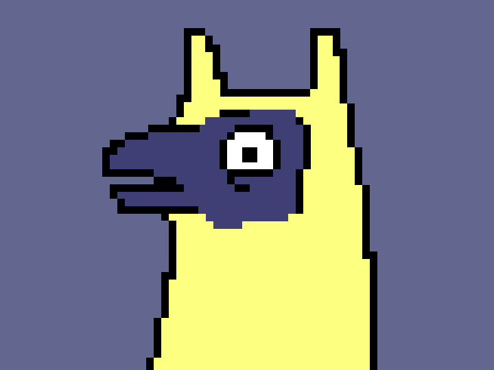 A silly llama